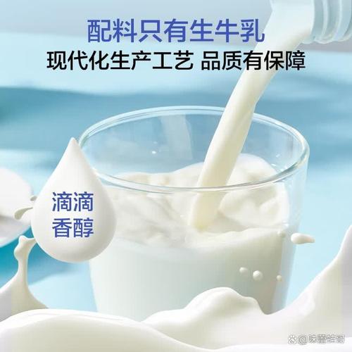 1号会员店牛奶怎么样?高品质乳制品助你健康生活