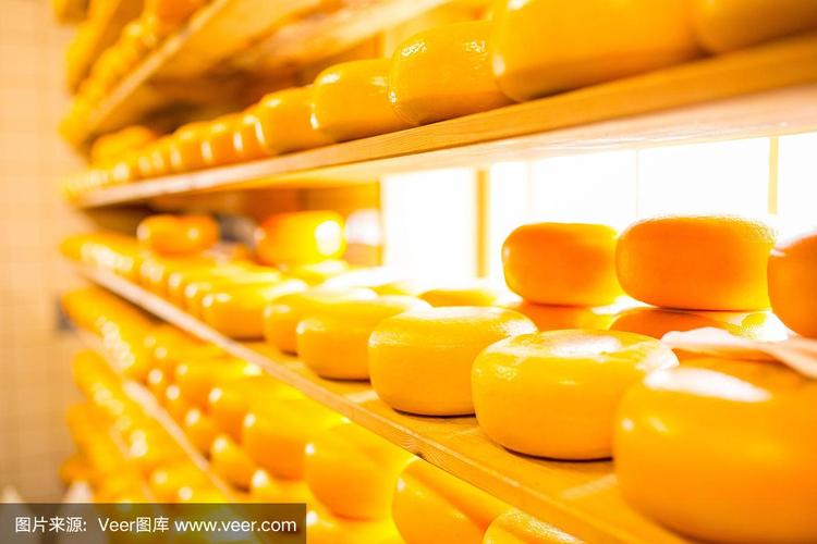 荷兰乳制品的瑰宝 奶酪的传承与创新